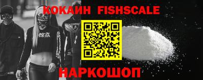 мет Кингисепп
