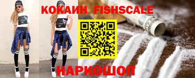 мет Кингисепп