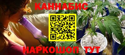 мет Кингисепп