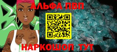 мет Кингисепп
