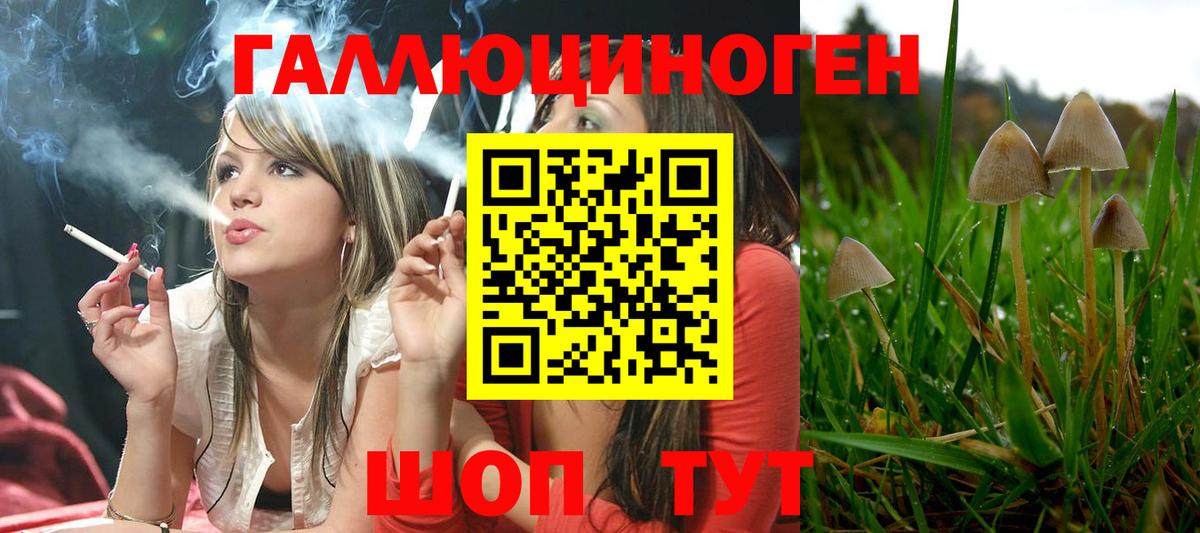 Кувандык  Псилоцибиновые грибы GOLDEN TEACHER  Галлюциногенные грибы прущие грибы  Вход с VPN 